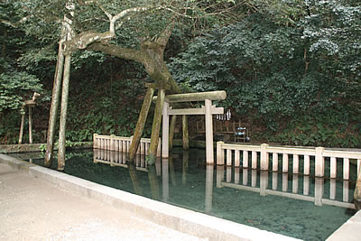 御手洗の池