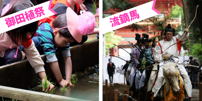 御田植祭と流鏑馬の様子
