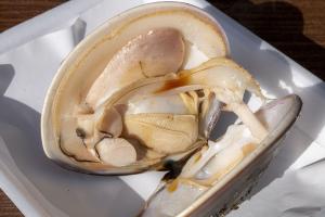 焼きはまぐり