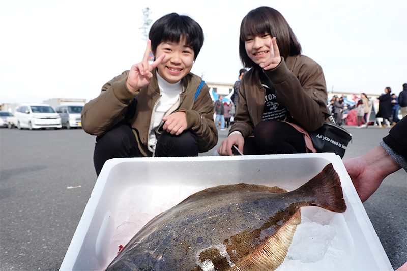 模擬セリでひらめゲット!