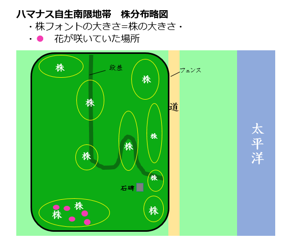 ハマナス南限指定地エリア概略図