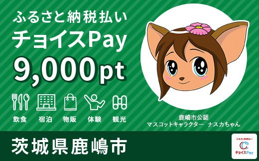 9000pt