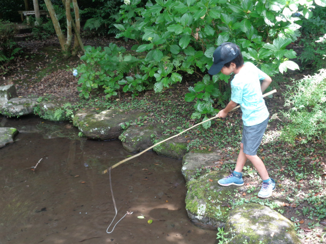 ザリガニを探す子ども