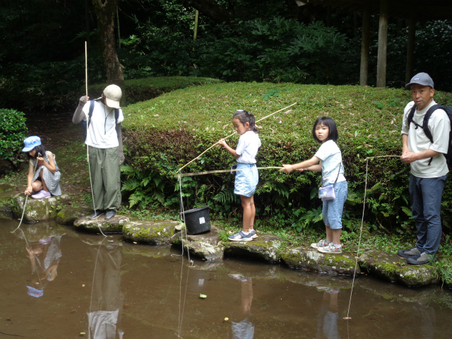真剣に池をのぞき込む子どもたち