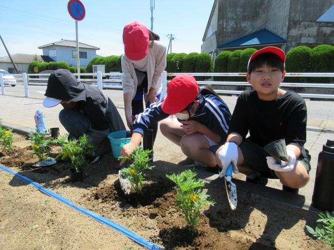 花植えの様子