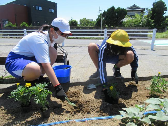 花植えの様子