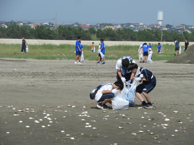 海岸清掃の様子