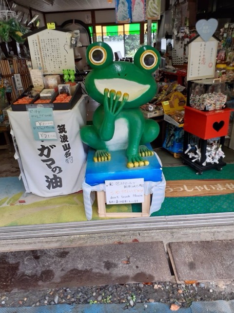 ガマ