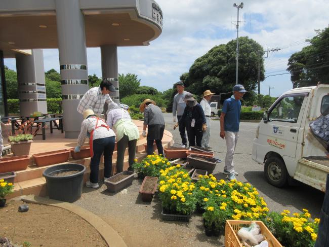 草刈り　　花植え