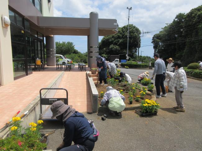 草刈り　　花植え