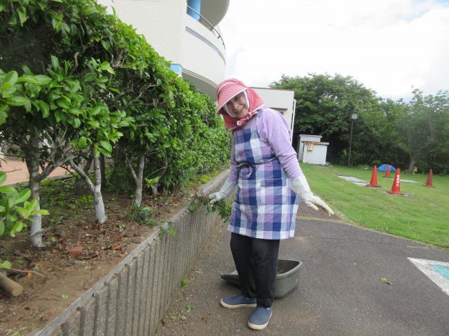 草刈り　　花植え