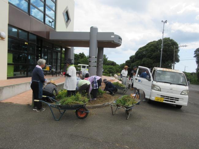 草刈り　　花植え