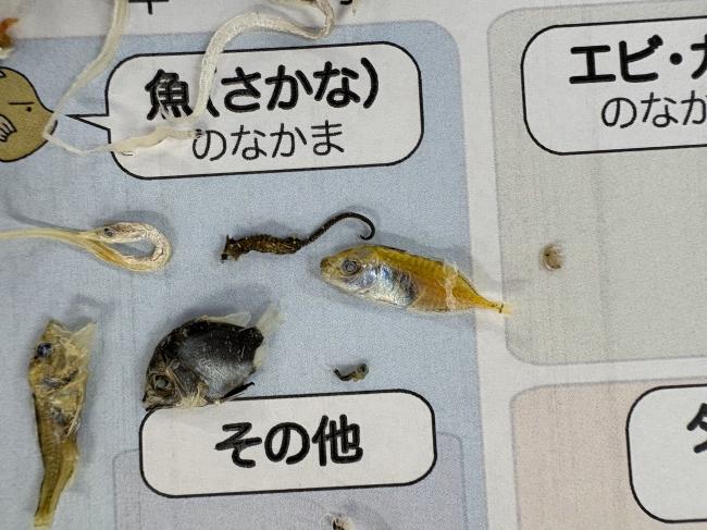 理科教室