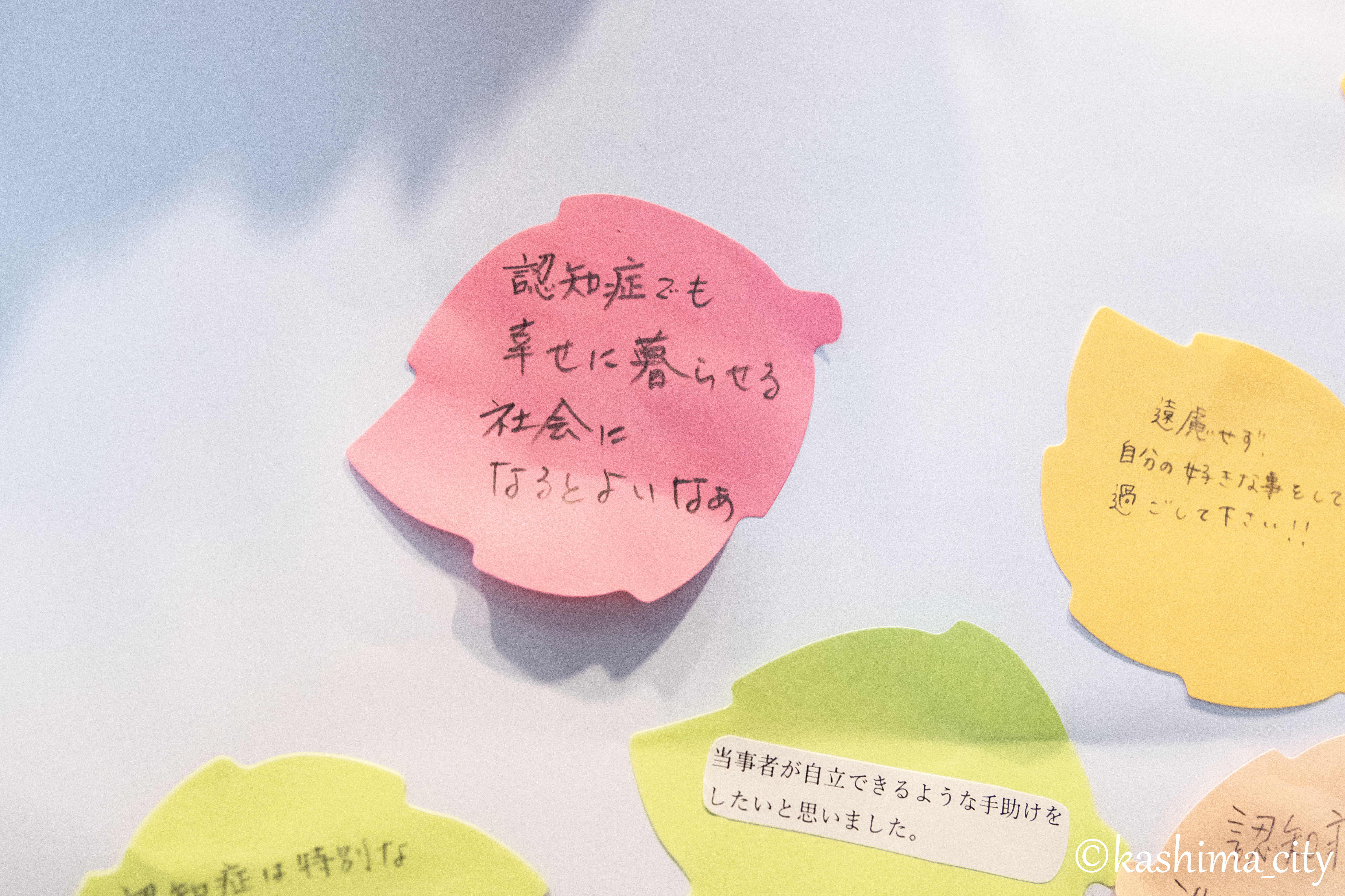 認知症9
