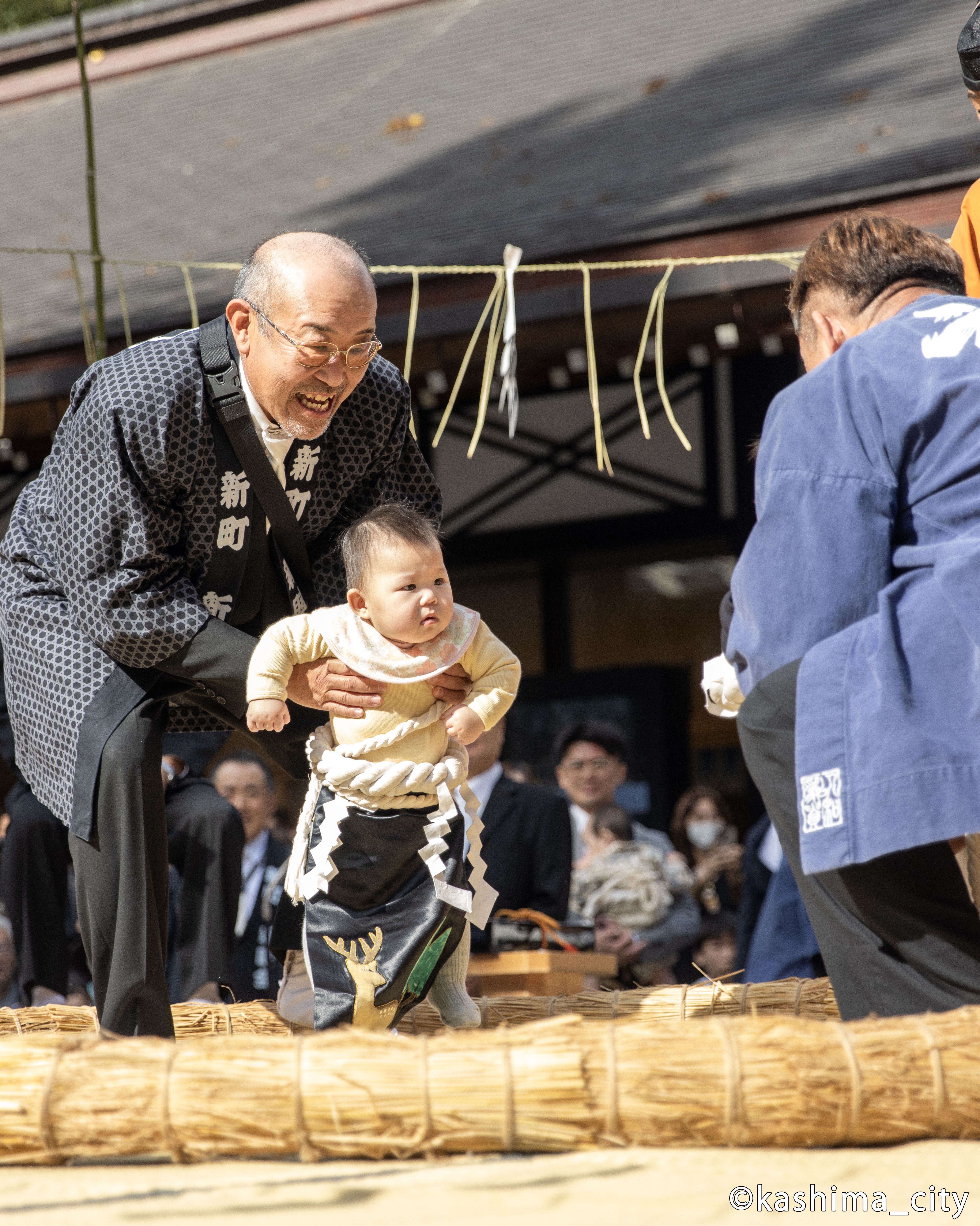 凛々しい表情の生後１年未満の豆力士