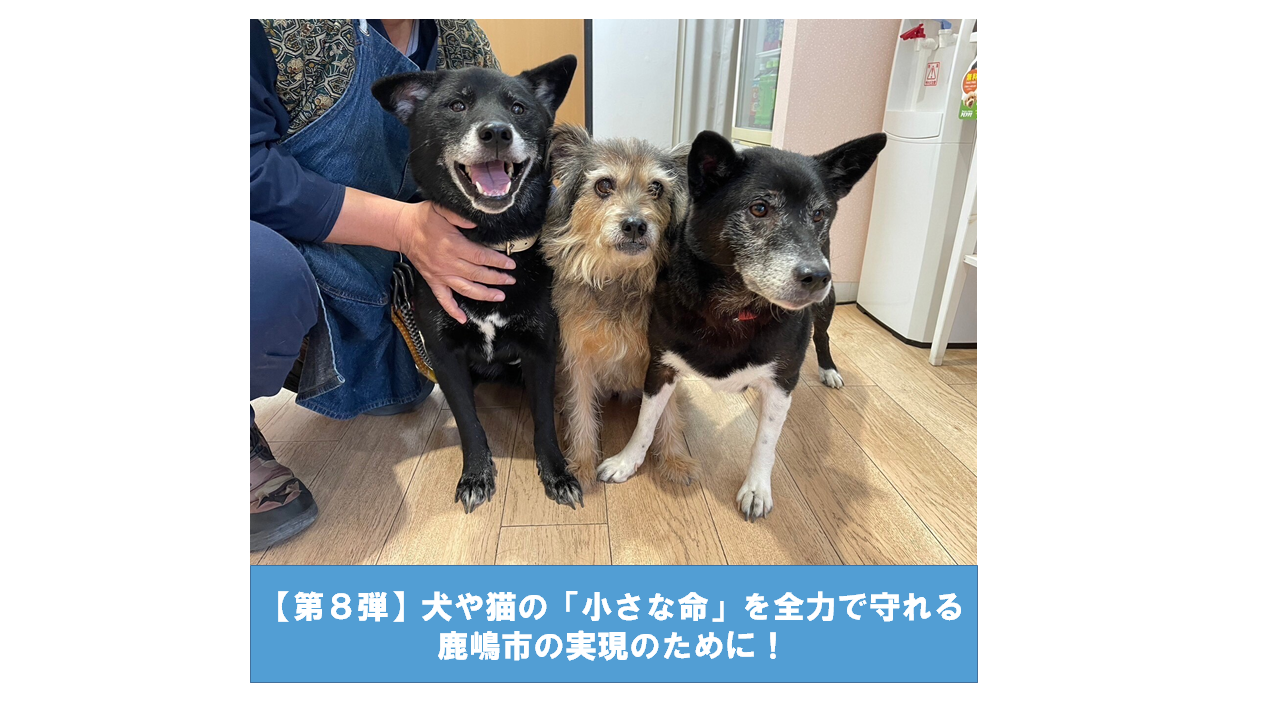 クラファン
