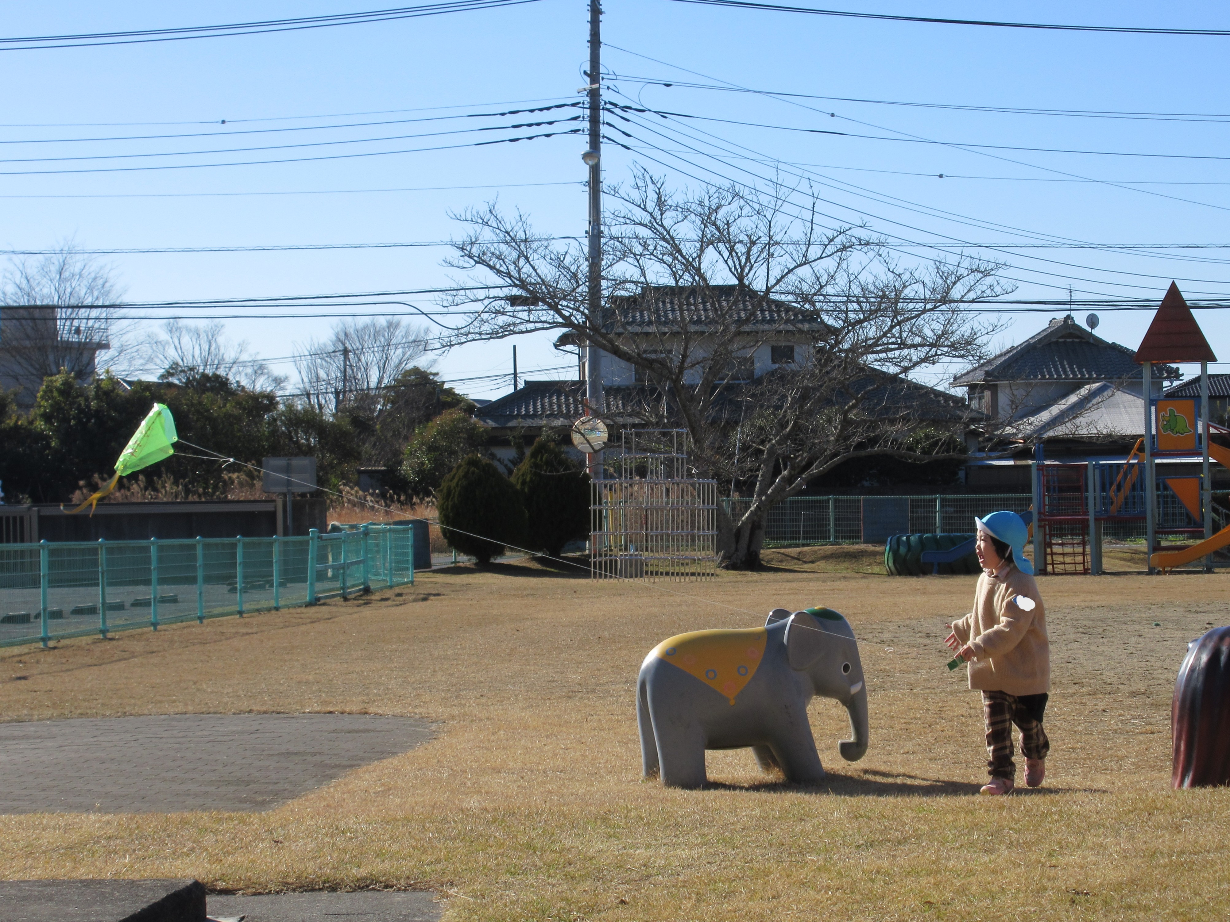 たこ