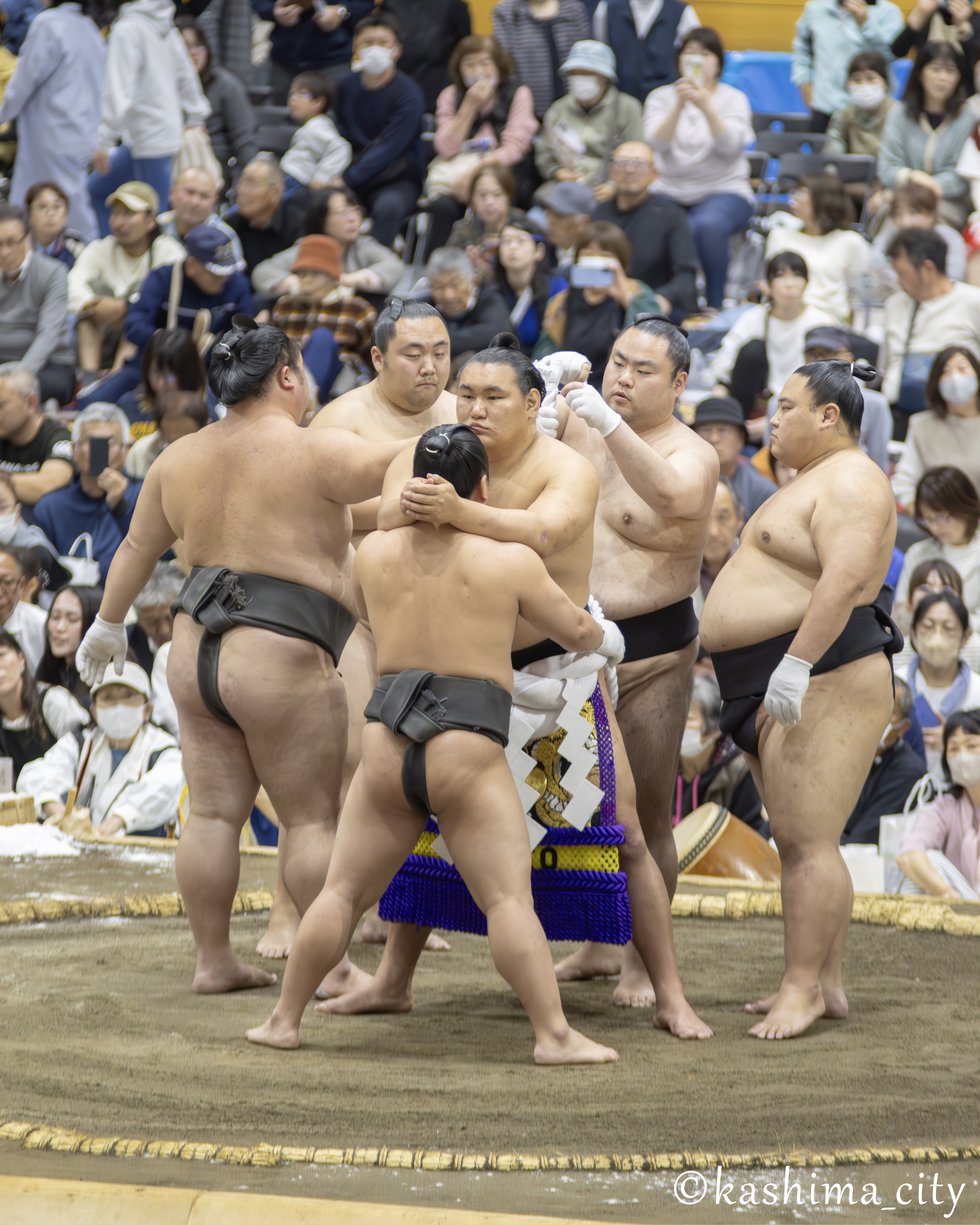 豊昇竜　綱締