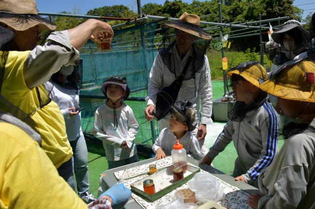波野元気っ子事業