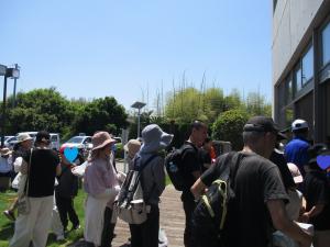 ウォーキング大会