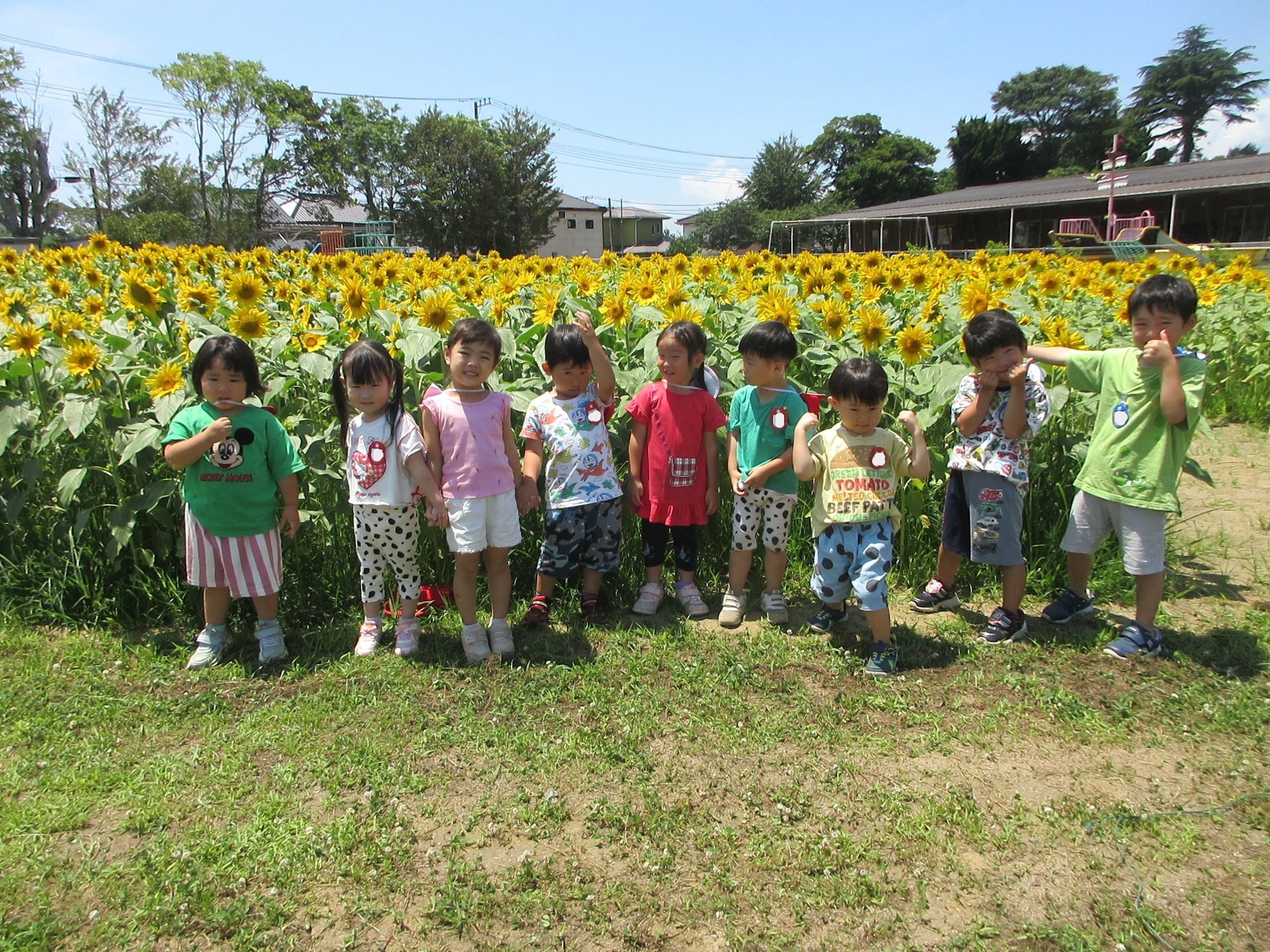 たんぽぽ集合