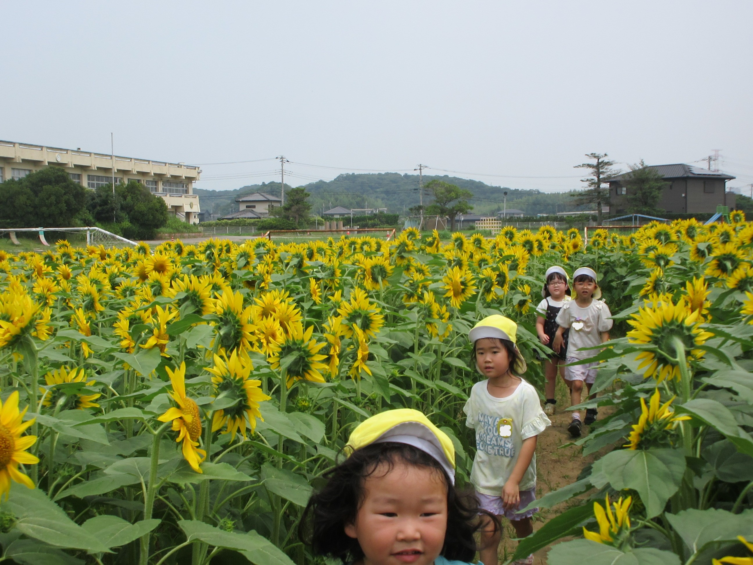 さら