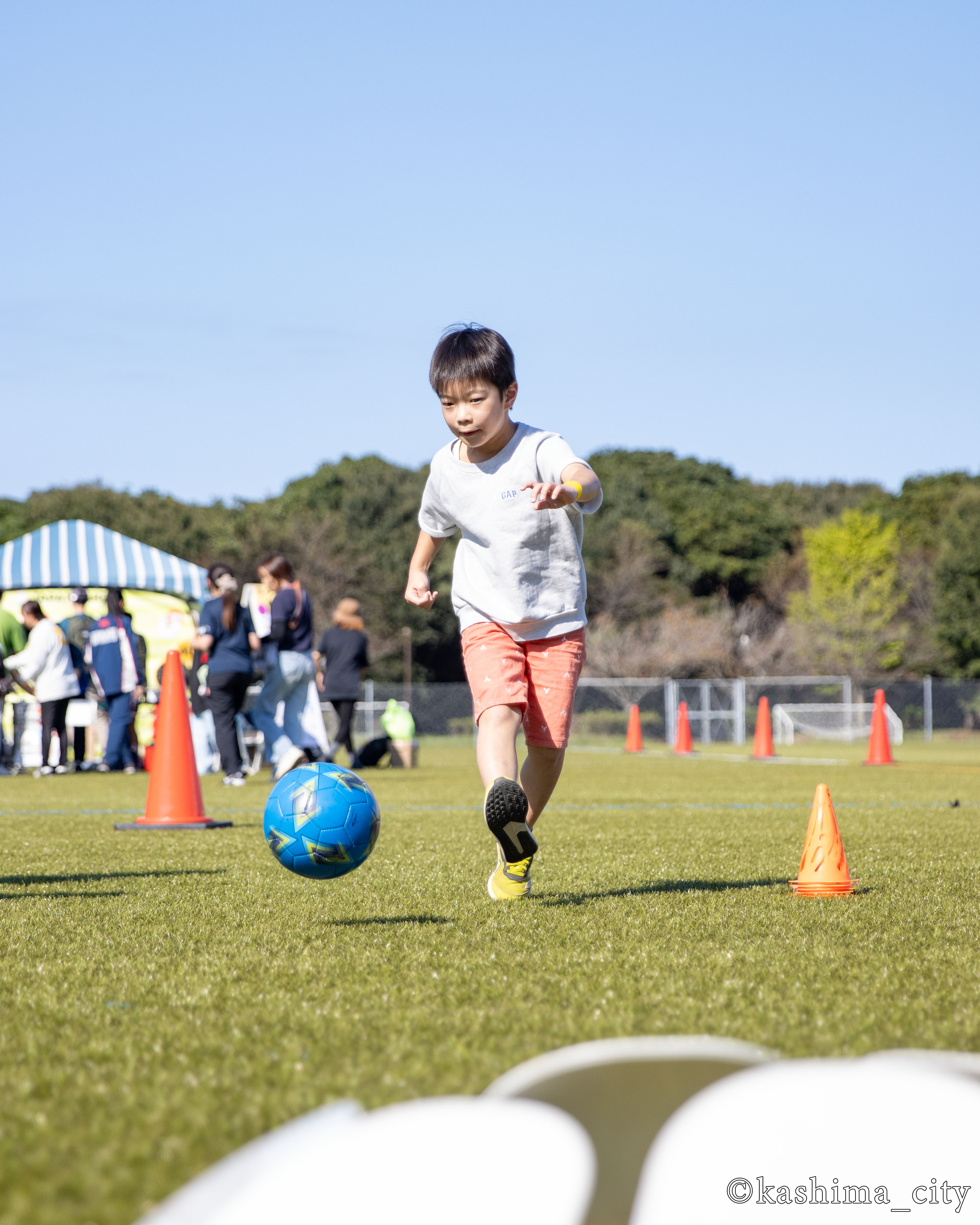 みんなのスポーツフェスタの様子